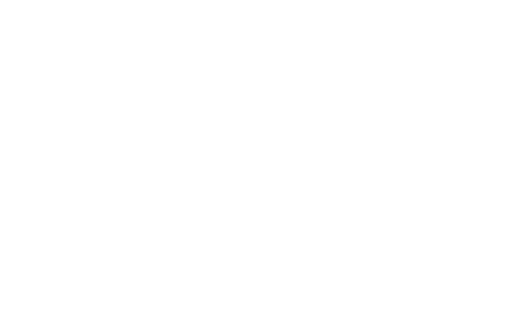 Solares Desarrollos